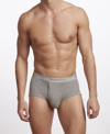 Stanfield's Premium Cotton Men's 3 Pack Brief Underwear, Plus In Gray
