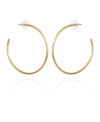 Vince Camuto Open Hoop Earrings In Gold