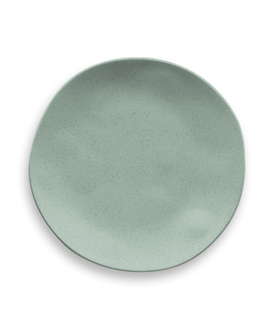 Tarhong Wheat Pp 6-piece Dinner Plate 10.5" In Sage Green