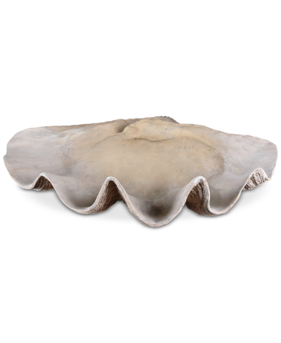 Uttermost Clam Shell Bowl In Multi