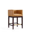 Manhattan Comfort Kingsley Barstool In Camel And Dark Walnut In Multi