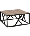 Hudson & Canal Jedrek 35" Square Coffee Table In Black