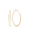 Steeltime 18k Gold Plated Stainless Steel Hoop Earrings In Gold