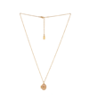 Charged Stone Locket Necklace In Brown