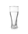 VISKI GLACIER DOUBLE WALLED CHILLING BEER GLASS