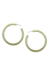 Olivia Welles Dara Resin Hoop Earrings In Gold