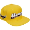 PRO STANDARD PRO STANDARD  GOLD MARYLAND EASTERN SHORE HAWKS EVERGREEN HAWKS SNAPBACK HAT