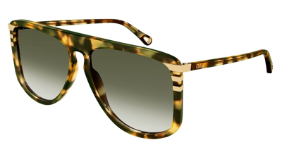 Pre-owned Chloé Ch0104s Havana/green Shaded (003) Sunglasses