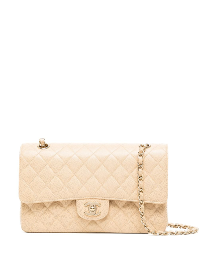 Pre-owned Chanel 2002 Medium Double Flap Shoulder Bag In Neutrals