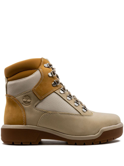 Timberland 6 Inch Waterproof Field Boots In Brown