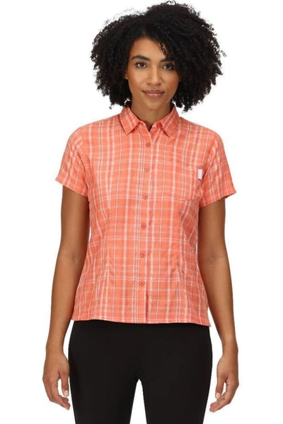 Regatta Womens/ladies Mindano Vi Checked Short-sleeved Shirt In Orange