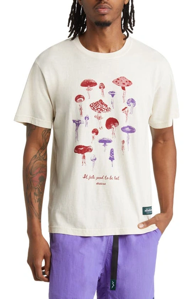 Afield Out Daydream Graphic T-shirt In Bone