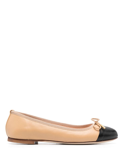Scarosso Contrasting-toecap Leather Ballerina Shoes In Neutrals