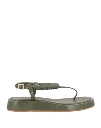 Gia Rhw Gia / Rhw Woman Thong Sandal Military Green Size 7 Soft Leather