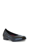 Munro Mila Ballet Flat In Black Combo