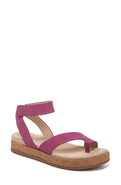 Soul Naturalizer Divina Ankle Strap Sandals In Orchid Glow Faux Nubuck