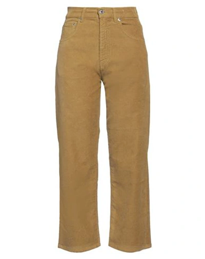 Mauro Grifoni Grifoni Woman Pants Mustard Size 27 Cotton, Elastane In Yellow