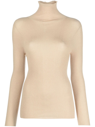 Fabiana Filippi Ribbed-knit Roll-neck Top In Neutrals