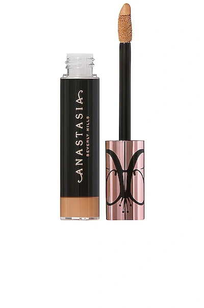 Anastasia Beverly Hills Magic Touch Concealer In 18