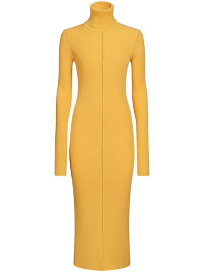 Marni High-neck Ribbed-knit Midi Dress In Yellow