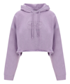 Ganni Isoli Hoodie In Violet
