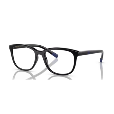 Dolce & Gabbana Dg5094 501 Glasses In Nero