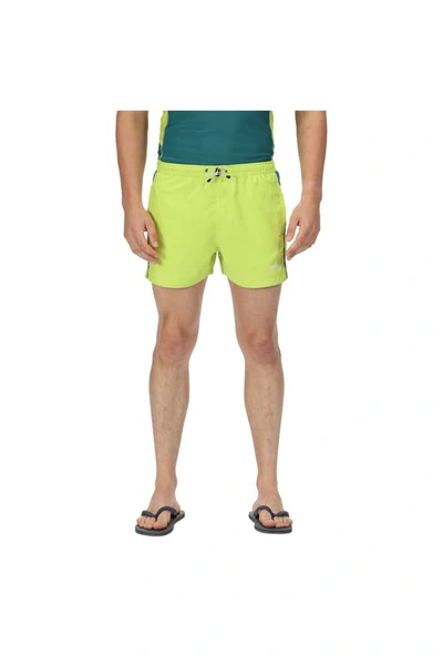 Regatta Mens Rehere Shorts In Green