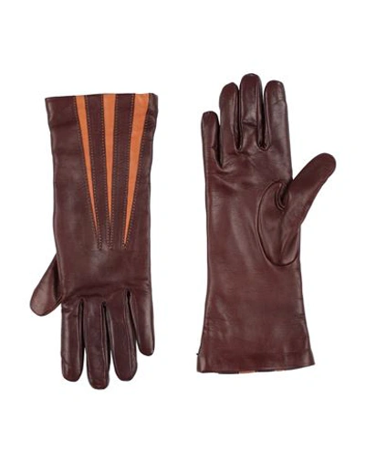 Etro Woman Gloves Dark Brown Size 7.5 Lambskin