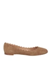 Chloé Woman Ballet Flats Khaki Size 9 Soft Leather In Beige