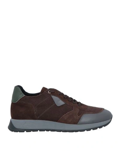 Baldinini Man Sneakers Brown Size 6 Calfskin, Textile Fibers
