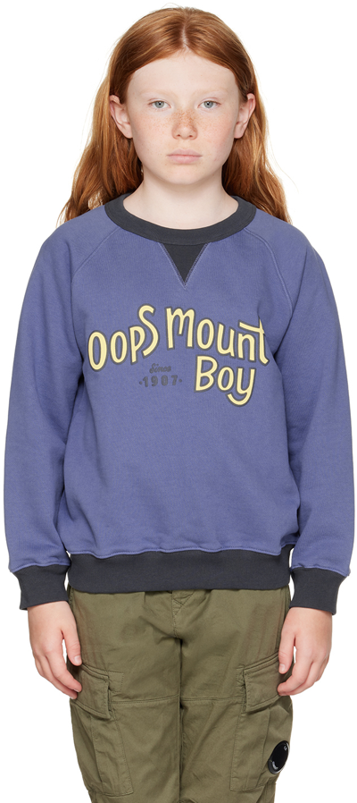 Oopsmyboy Kids Blue Raglan Sweatshirt