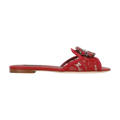 Dolce & Gabbana Lace Slippers With Crystals In Dark_red