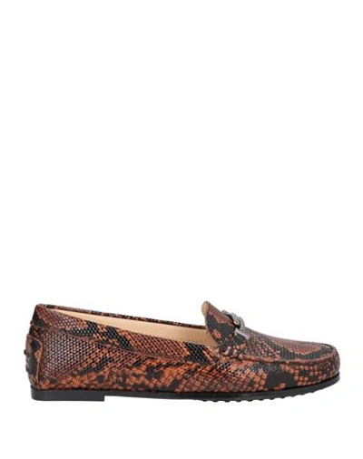 Tod's Woman Loafers Brown Size 7 Soft Leather