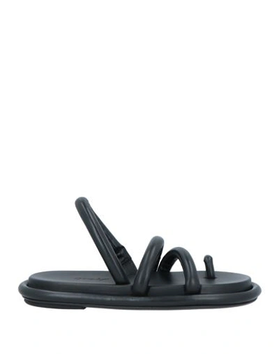 Marsèll Woman Thong Sandal Black Size 8 Calfskin