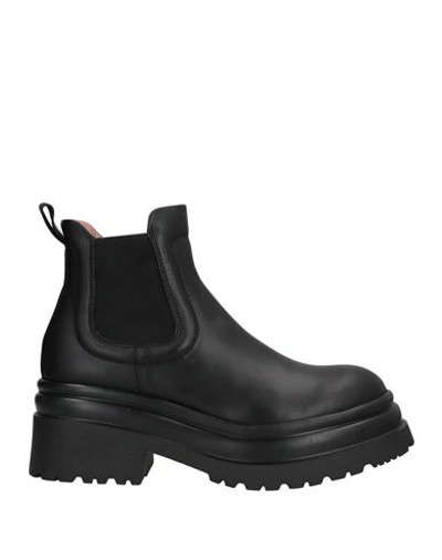 Pollini Woman Ankle Boots Black Size 11 Calfskin