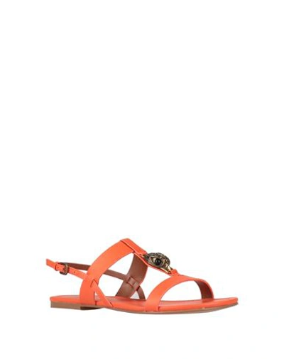 Kurt Geiger Woman Sandals Orange Size 10 Soft Leather