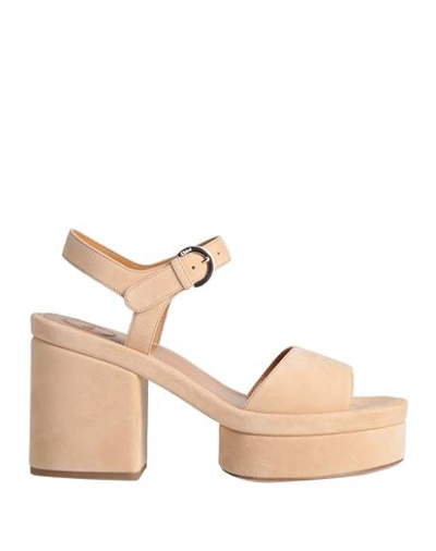 Chloé Woman Sandals Sand Size 8 Soft Leather In Beige
