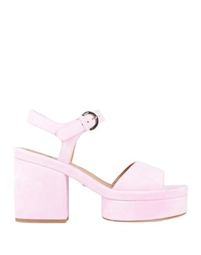 Chloé Woman Sandals Lilac Size 6 Soft Leather In Purple