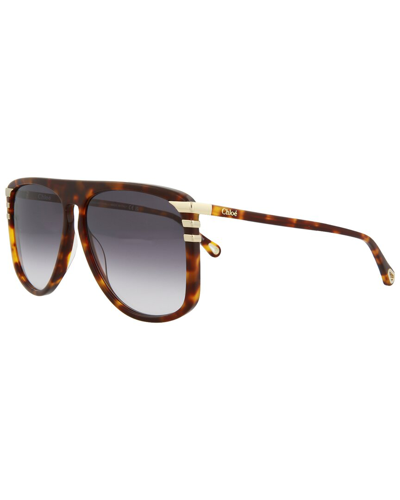 Chloé Women's Ch0104s 62mm Sunglasses In Brown