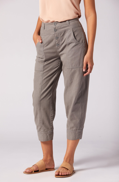 Joie Dom Pants In Grey