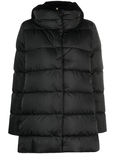 Herno Quilted Hooded Jacket In Black  