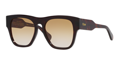 Chloé Woman Sunglass Ch0149s In Brown