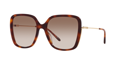 Chloé Woman Sunglass Ch0173s In Brown