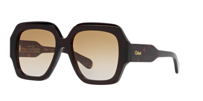 Chloé Ch0154s Sunglasses In Brown