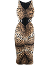 Roberto Cavalli Leopard-print Cut-out Midi Dress In Neutrals