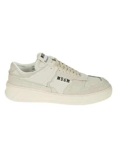Msgm Gray Acbc Edition Fantastic Sneakers In Off White