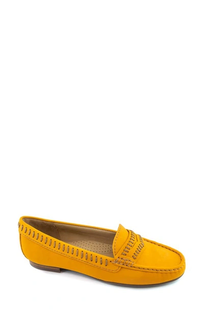 Driver Club Usa Maple Ave Penny Loafer In Cheddar Nubuck/ Contrast