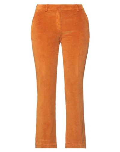 Pt Torino Woman Pants Rust Size 8 Cotton, Lyocell, Elastane In Red