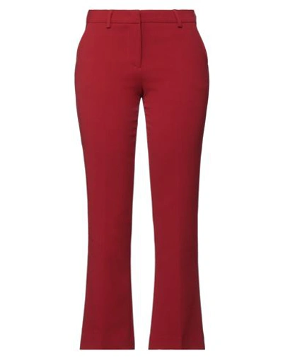 Pt Torino Woman Pants Brick Red Size 8 Polyester, Wool, Elastane