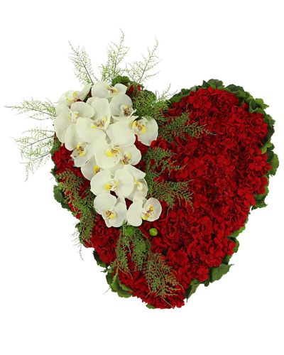 Creative Displays Red Geranium, Orchid And Fern Heart Arrangement
